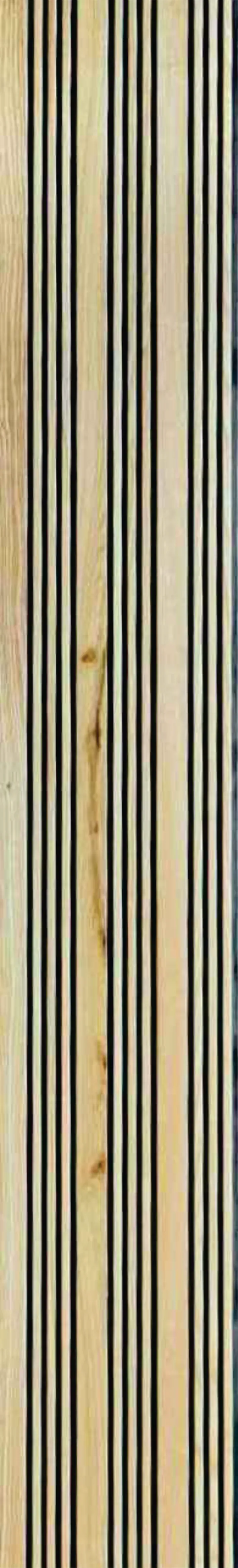 Forest - F01-MAPLE