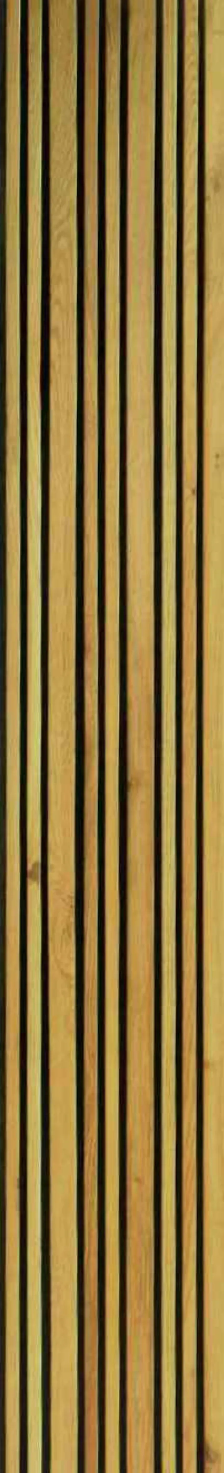 Forest - F03-TEAK