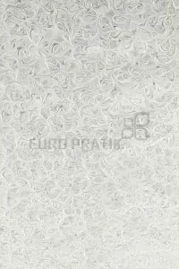 Lucento - 10304