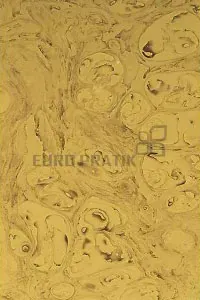 Lucento - 10309