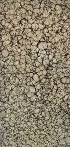 Lucento - 10708