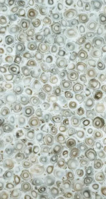 10801 product image