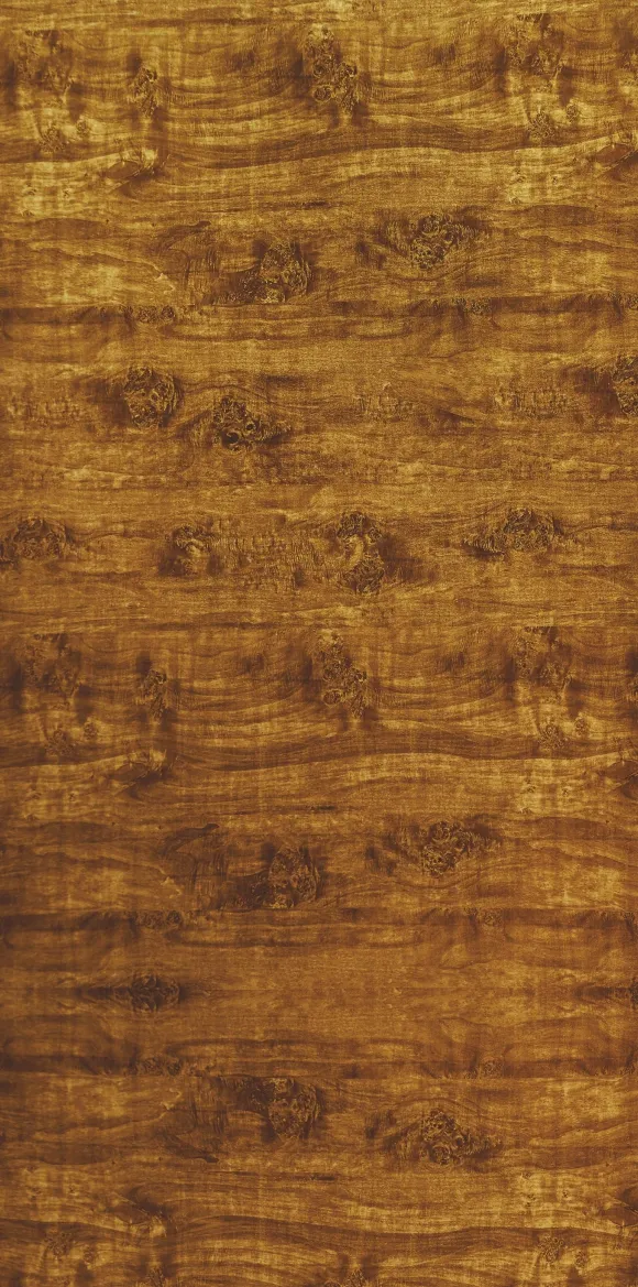 14423 product image