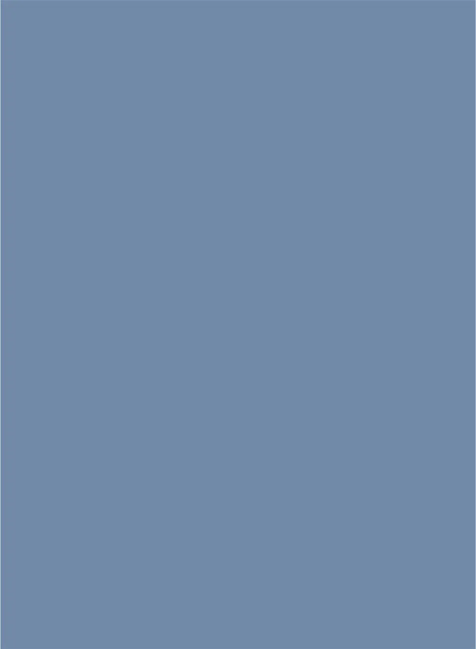 Sapphire Sleek - 15008