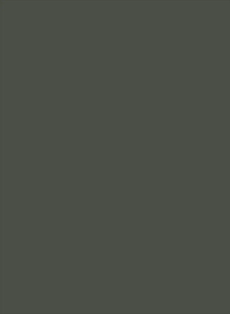 Sapphire Sleek - 15306