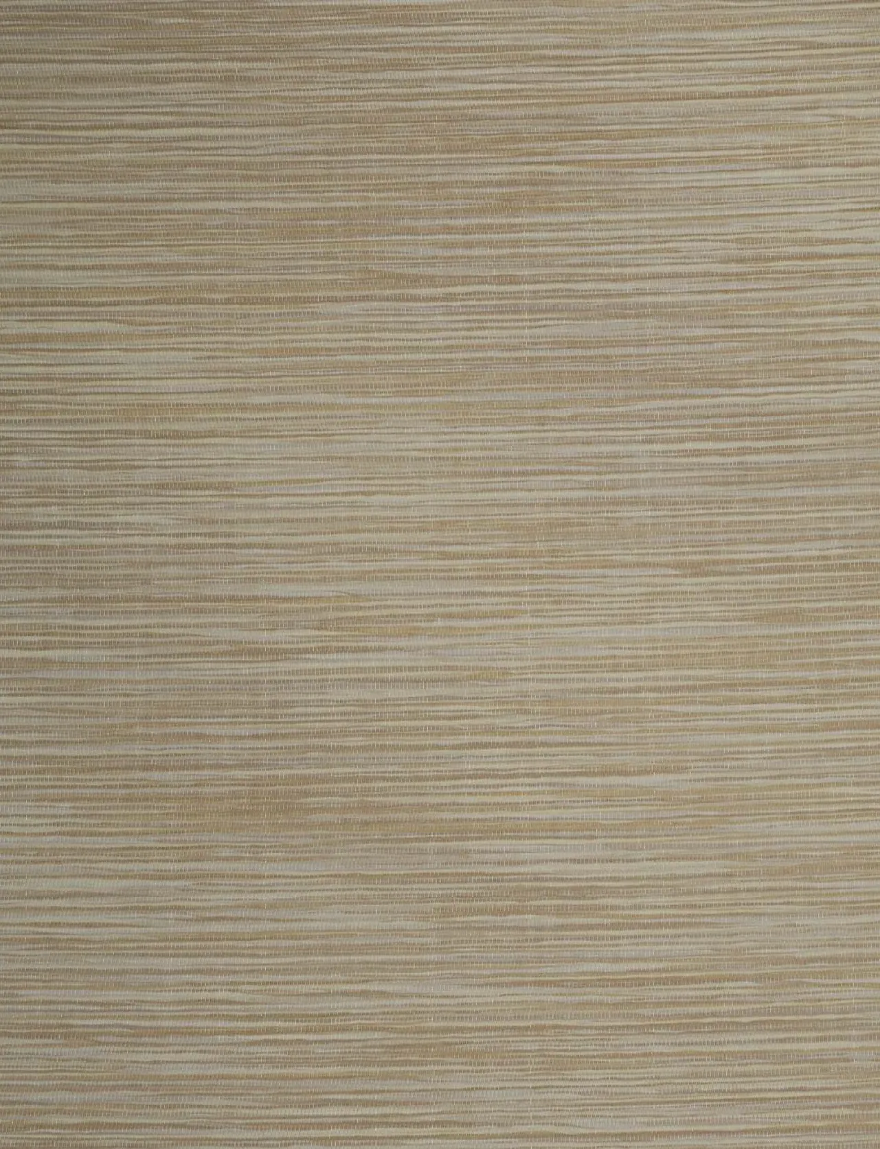21213 product image